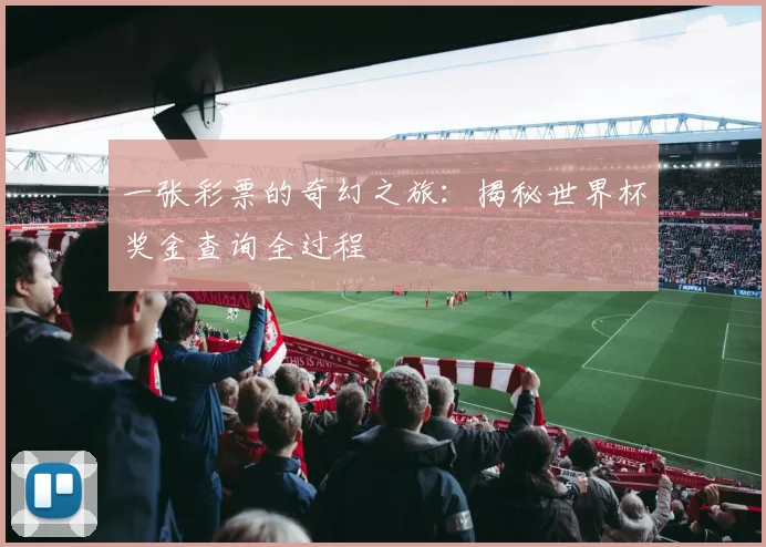 一张彩票的奇幻之旅：揭秘世界杯奖金查询全过程