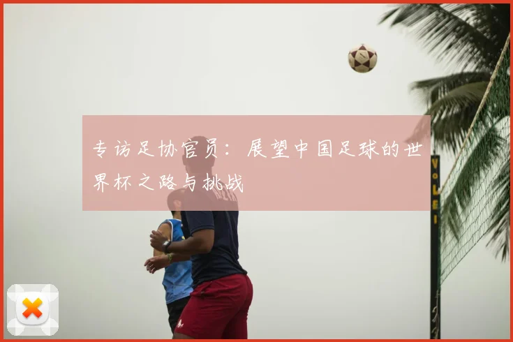 专访足协官员：展望中国足球的世界杯之路与挑战