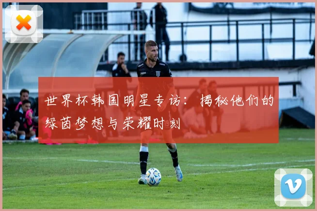 世界杯韩国明星专访:揭秘他们的绿茵梦想与荣耀时刻