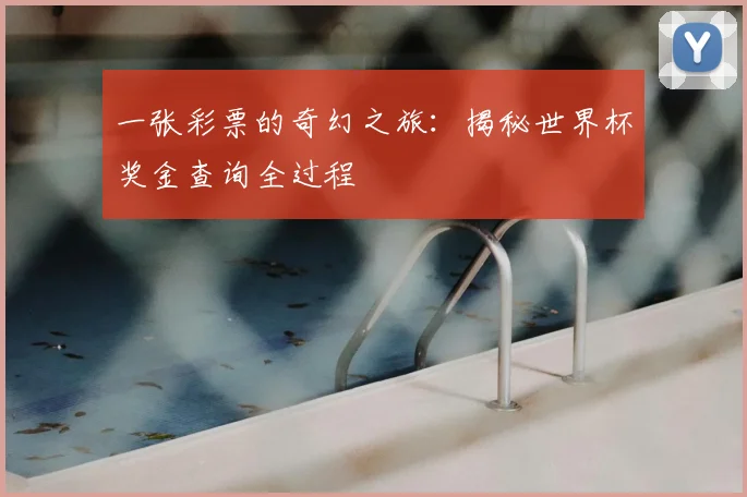一张彩票的奇幻之旅:揭秘世界杯奖金查询全过程