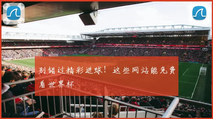 别错过精彩进球！这些网站能免费看世界杯