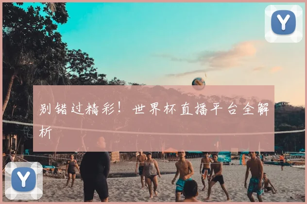 别错过精彩！世界杯直播平台全解析