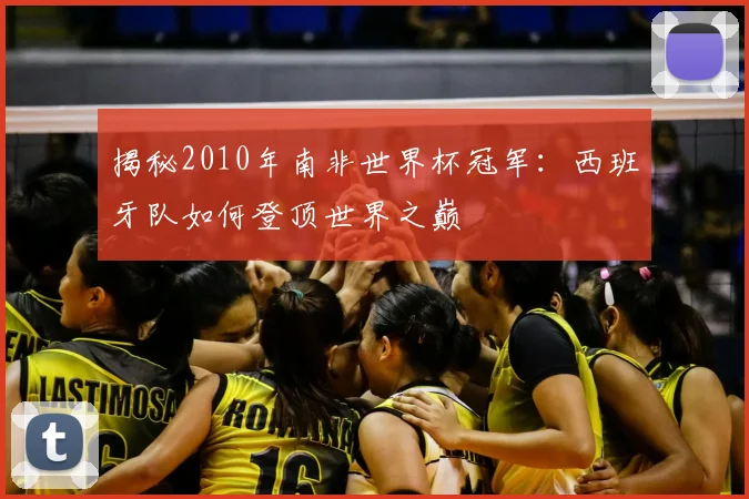 揭秘2010年南非世界杯冠军:西班牙队如何登顶世界之巅
