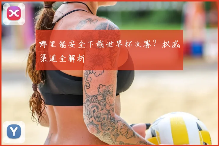 哪里能安全下载世界杯决赛?权威渠道全解析