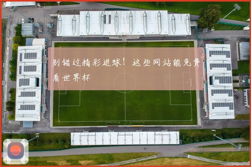 别错过精彩进球!这些网站能免费看世界杯