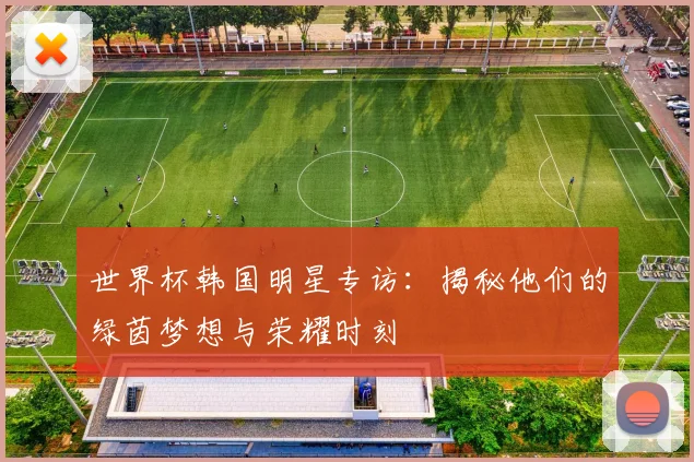 世界杯韩国明星专访：揭秘他们的绿茵梦想与荣耀时刻