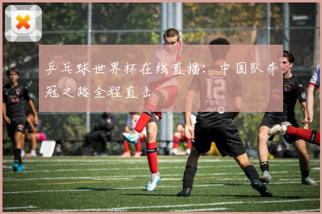 乒乓球世界杯在线直播:中国队夺冠之路全程直击