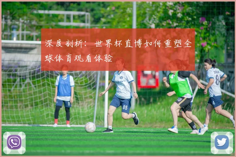 深度剖析：世界杯直博如何重塑全球体育观看体验