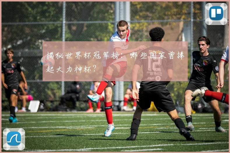 揭秘世界杯冠军榜:哪些国家曾捧起大力神杯?