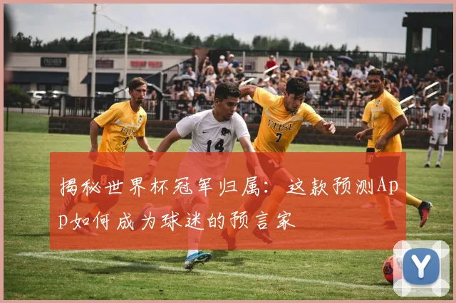 揭秘世界杯冠军归属：这款预测App如何成为球迷的预言家